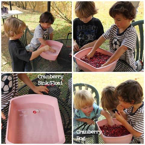 [CranberryTGiving2%255B4%255D.jpg]