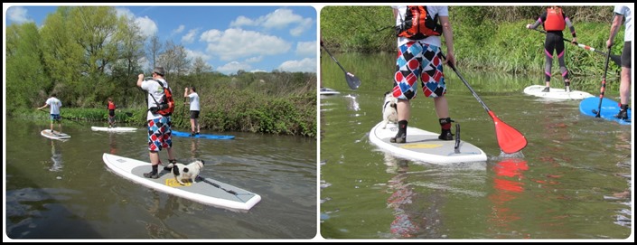 E Dod Paddle Boarding