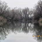 IMG_1334.JPG