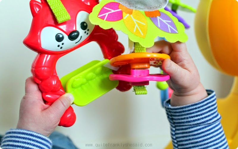 fisherprice baby gym review