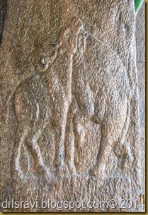 IMG_0059 IMG_0059