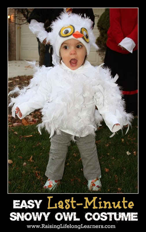 Easy Last Minute Snowy Owl Costume via www.RaisingLifelongLearners.com