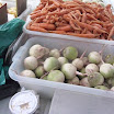 P1010098.JPG