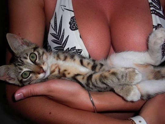 [viral-picdump-pics-ee1200%255B2%255D.jpg]