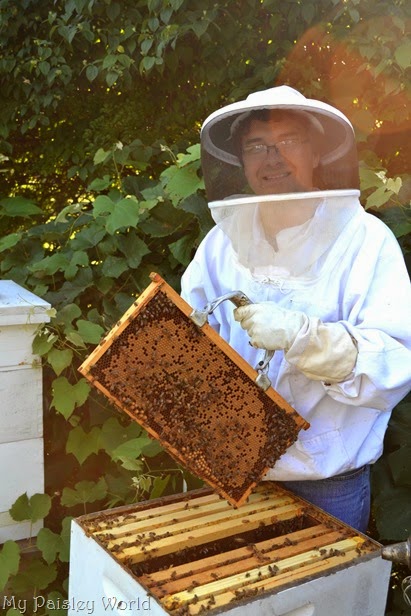 [bees16%255B7%255D.jpg]