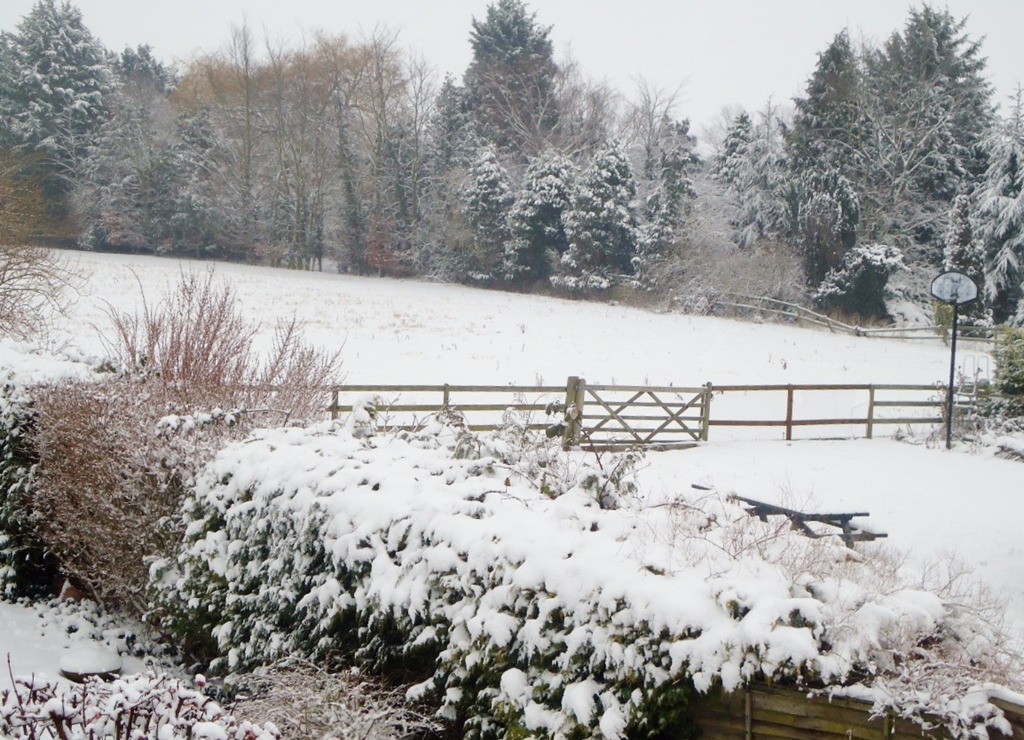 [DSC08047%255B4%255D.jpg]