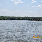 IMG_4269.JPG