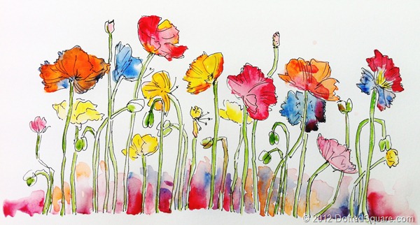 Poppies by Evelyn