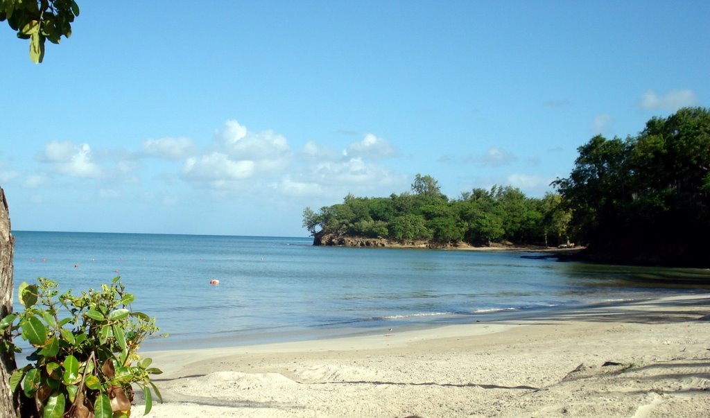 [stlucia%255B3%255D.jpg]