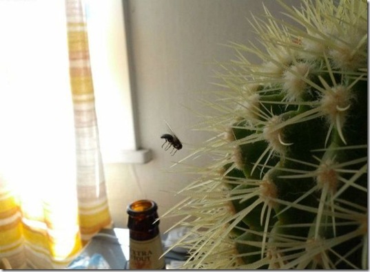 viral-picdump-pics-49