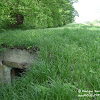 dsc06820.jpg