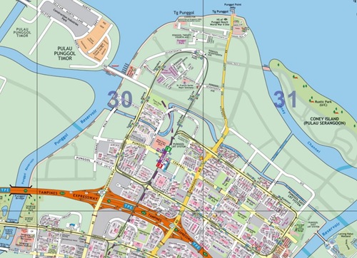 punggol pcn