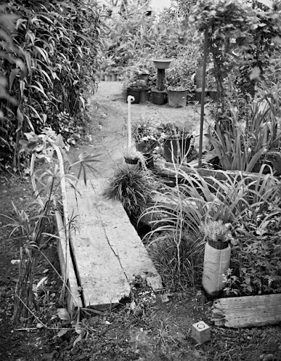 Leon Goldsberry garden, Edwards, Mississippi, 2001. Leon Goldsberry garden, Edwards, Mississippi, 2001.
