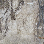 AbubarB70RM.jpg