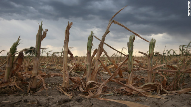 Rain clouds move over the remnants of parched corn stalks near Wiley, on the plains of eastern Colorado, on 22 August 2012. A summer storm came too late to help farmers whose crops were decimated in the exceptional drought in Colorado's eastern plains. Getty Images via CNN