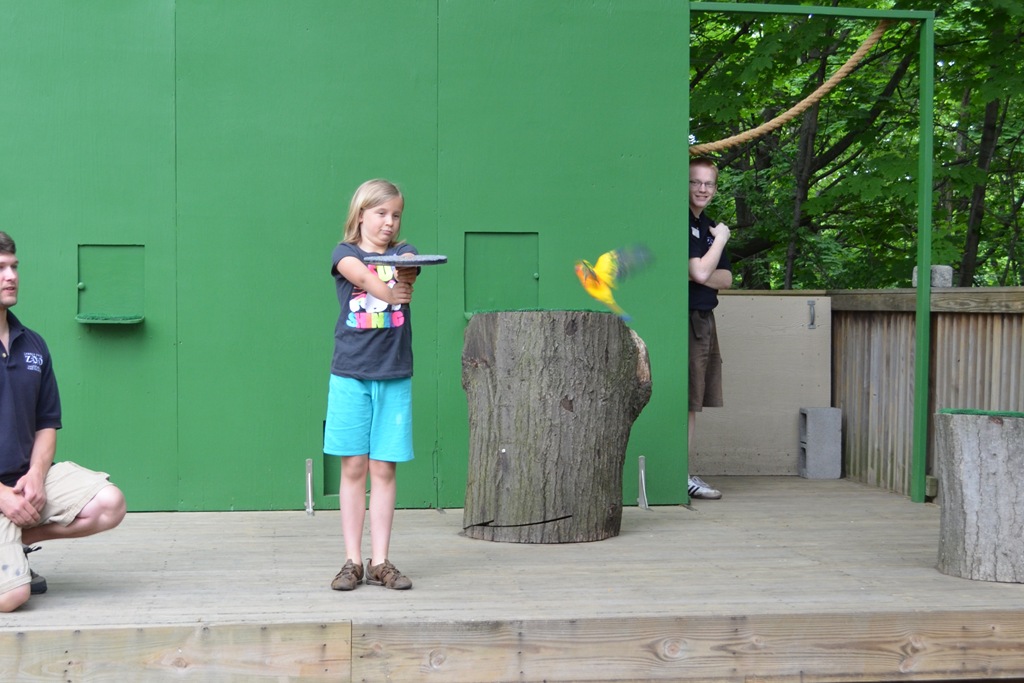 [DSC_0807%255B3%255D.jpg]