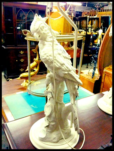 [auction4parrot%255B4%255D.jpg]
