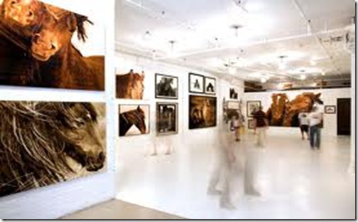 wild horses of sable island by roberto dutesco