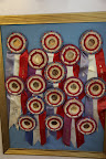 So many impressive looking ribbons!  They must really know what they are doing here.
