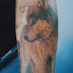 Lone Wolf
