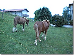 DSCN1410 DSCN1410