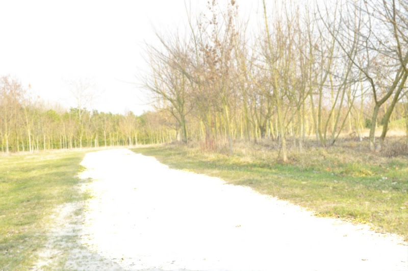 DSC_0021.jpg DSC 0021