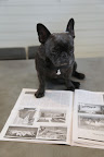 The one and the same!  He's the one who reproduced the original frame for this famous painting.