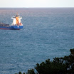 XA293364.JPG