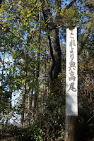 これより奥高尾 Photo