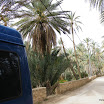 Tunesien-12-2010-155.JPG