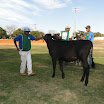 superleite2011_dia1607_63.JPG