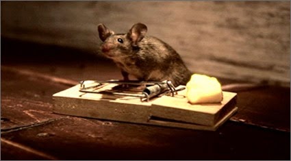 [Nolans_Cheddar_Commercial%255B5%255D.jpg]