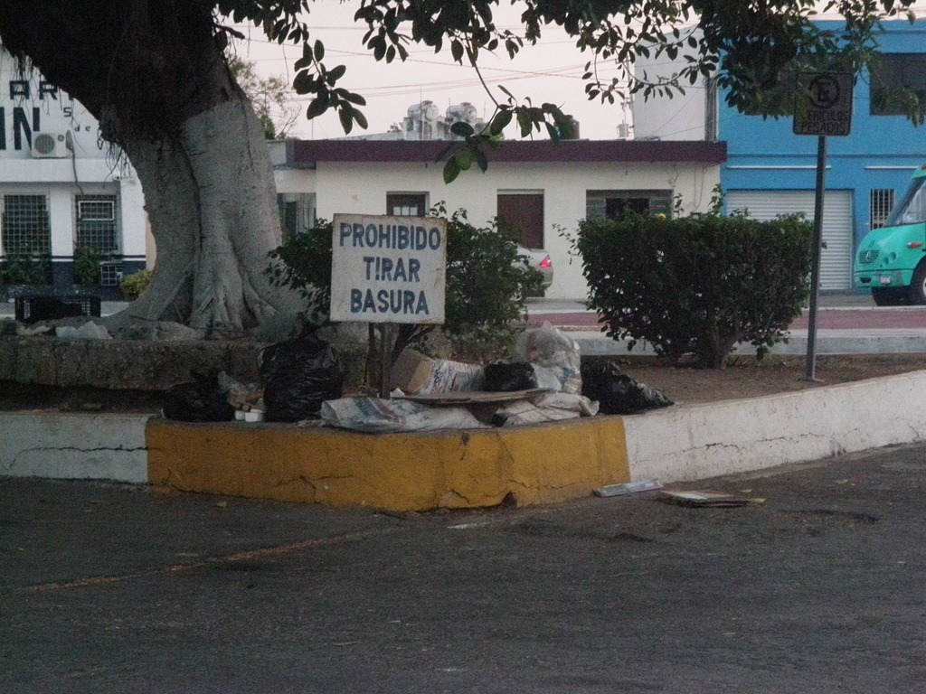 [P50602383.jpg]