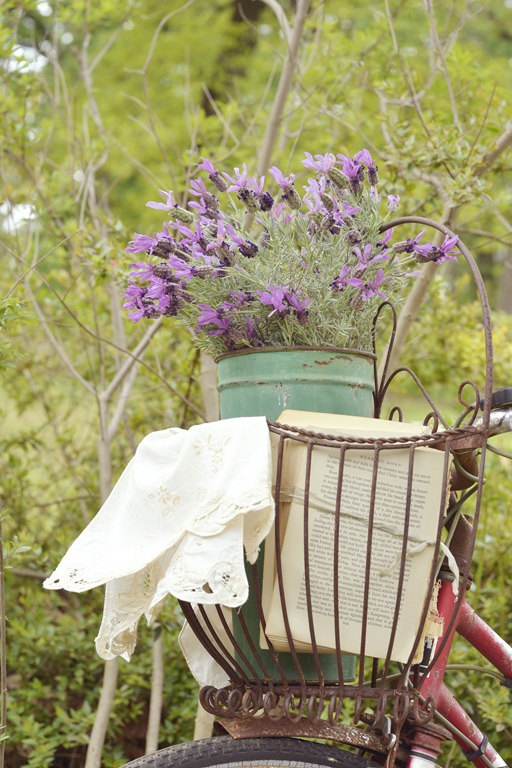 [flower%2520050ed%255B5%255D.jpg]