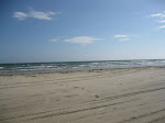 2009 - TFMA Fall Conference in Galveston