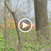 MVI_0378.MOV