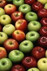 Apples Apples