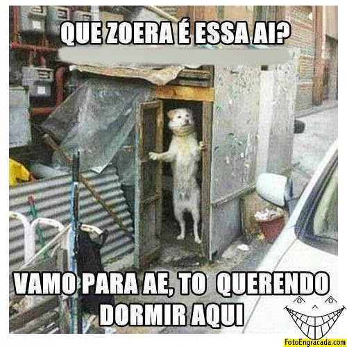 [Imagem: oio.jpg]