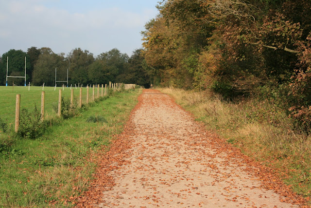 Autumn Path