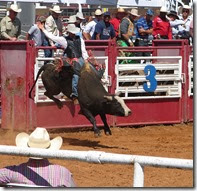 TX San Antonio Rodeo 103