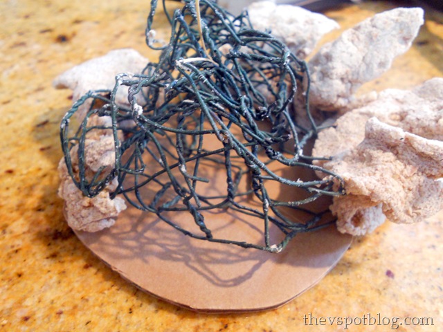 [DSCN4106%255B5%255D.jpg]