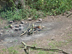Backwoods Cooking