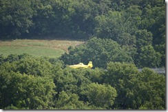 Crop Duster Under the Trees