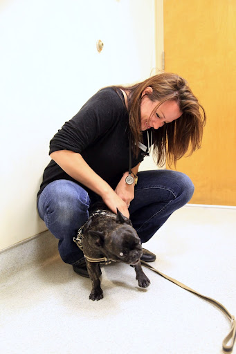 Hi, Dr. Jean!  I swear I've been really careful with my eye!  I've been taking my drops and wearing my cone because I really want this button removed!