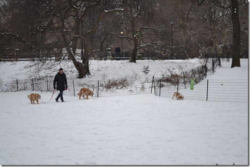 2012_0122_1433 DSC_0431 2012_0122_1433 DSC_0431