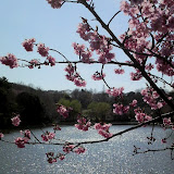 20100327_三ツ池公園