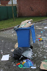 Opkuis kerstboomverbranding: Foto