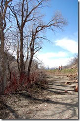 may2011lambscanyon15