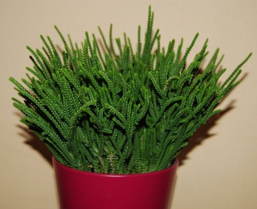 [4838430673610199%5B3%5D.jpg]