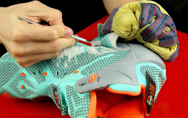 LeBron Anatomy Nike LeBron 12 Cut into Pieces